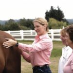 woman massaging horse's back end while others observe
