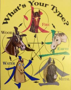 learn what type your horse is