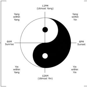 Large Animal Foundation Acupressure Distance Learning
