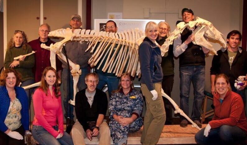 group photo of students and faculty around a horse skeleton