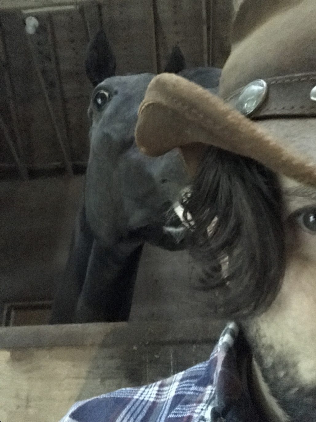 half of David Cota-Robles's face with a horse behind him