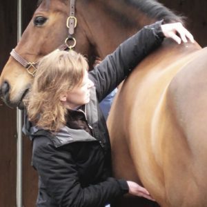 woman applying acupressure to horse