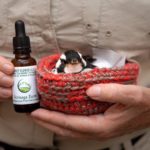 Bermaga Farm Flower Elixer