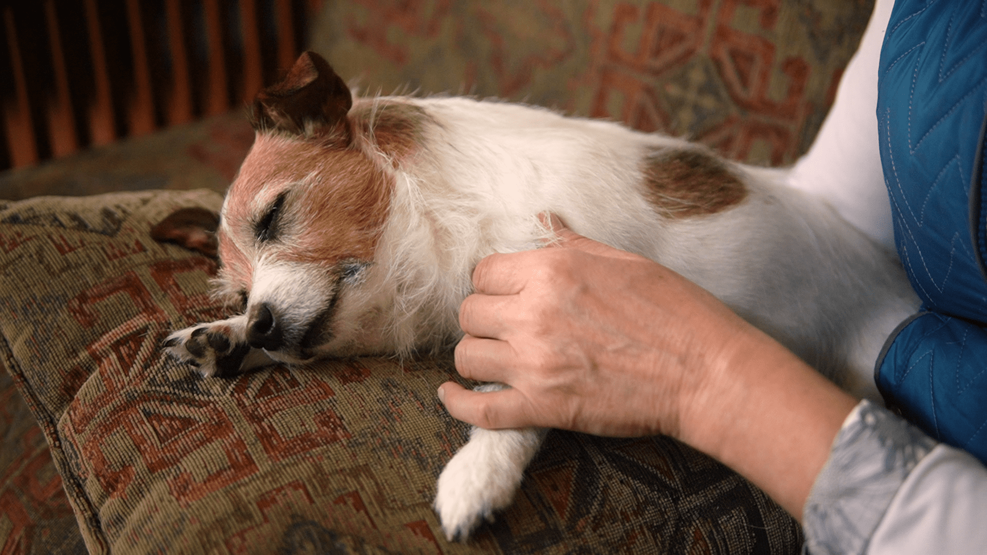 Stella gets a massage