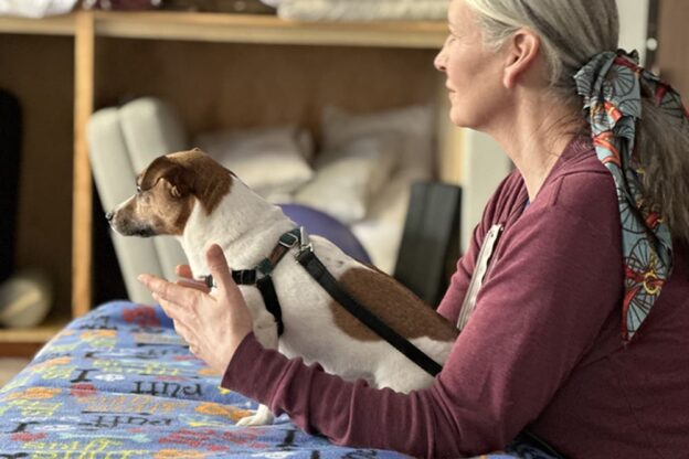 A small dog recieves a massage from a therapist