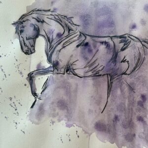 Sketching the Unseen: Tools for Equine Professionals MAY26